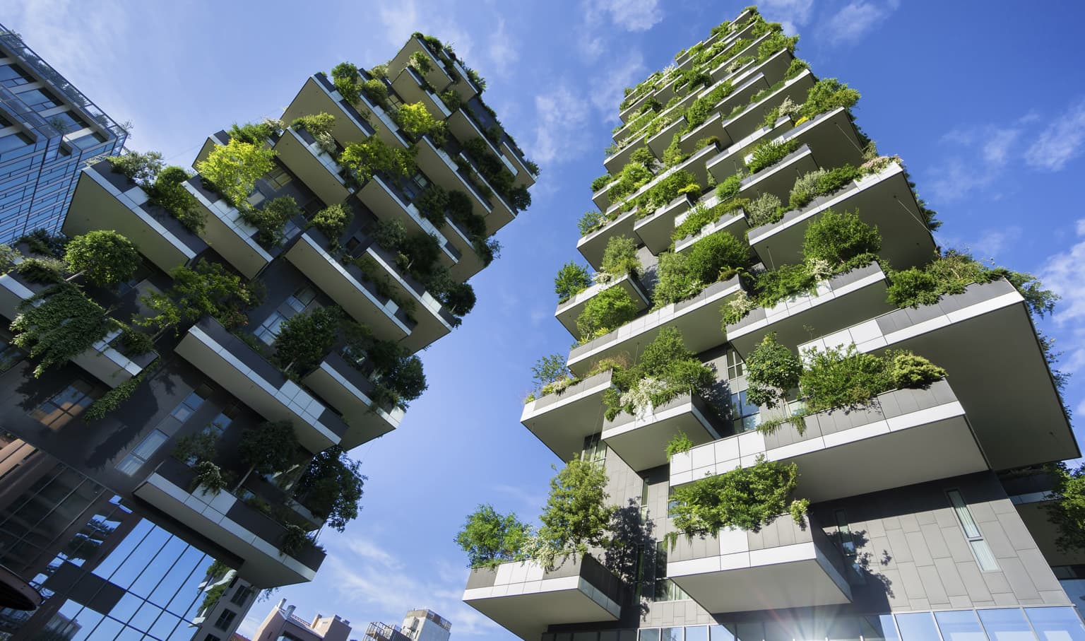 architectural innovation